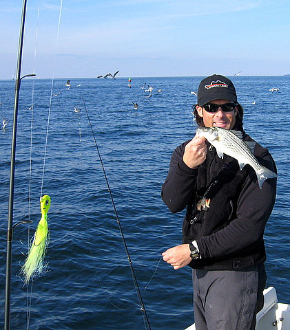 striped bass tackle